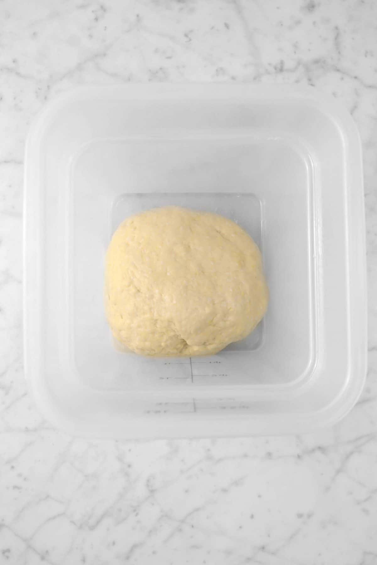 dough in a plastic container