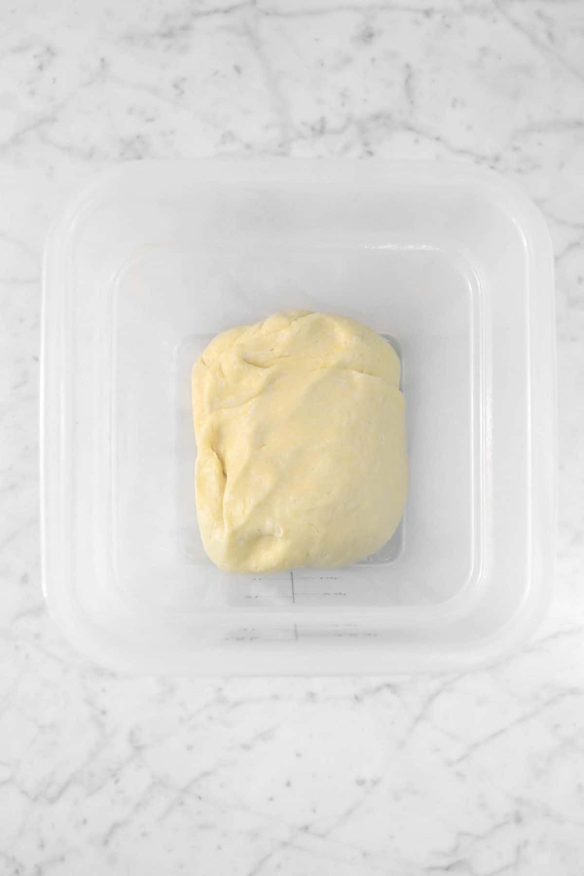 dough in a container