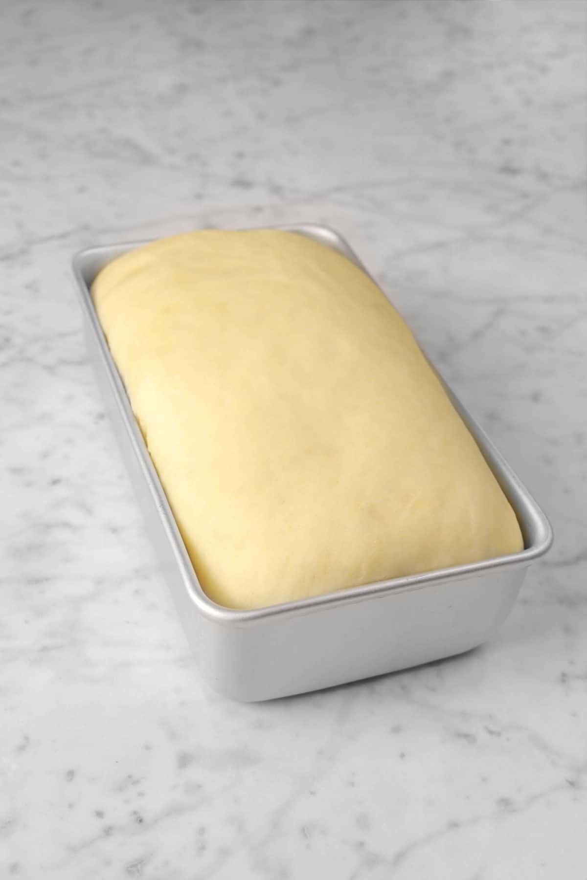 bread dough doubled in bulk in loaf pan