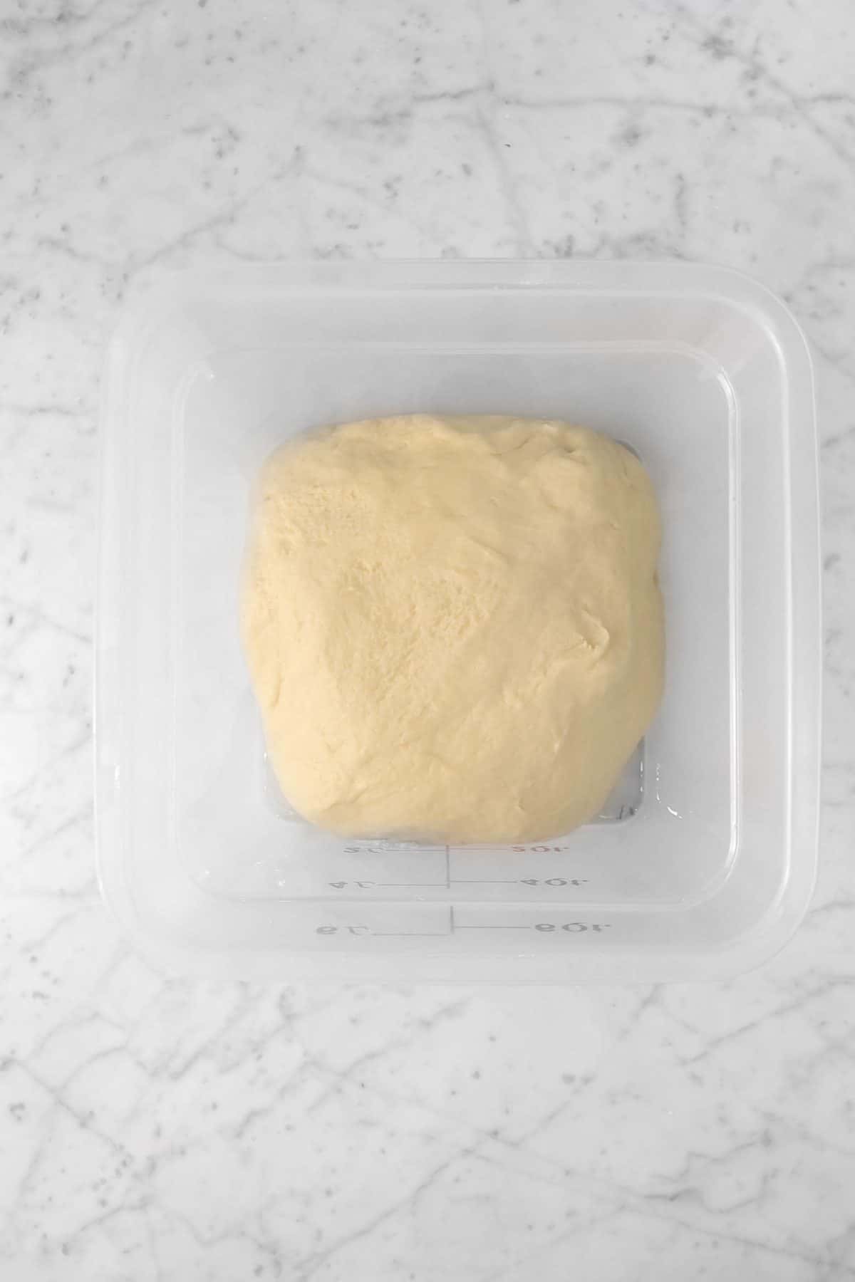 cinnamon roll dough in a dough rising bucket