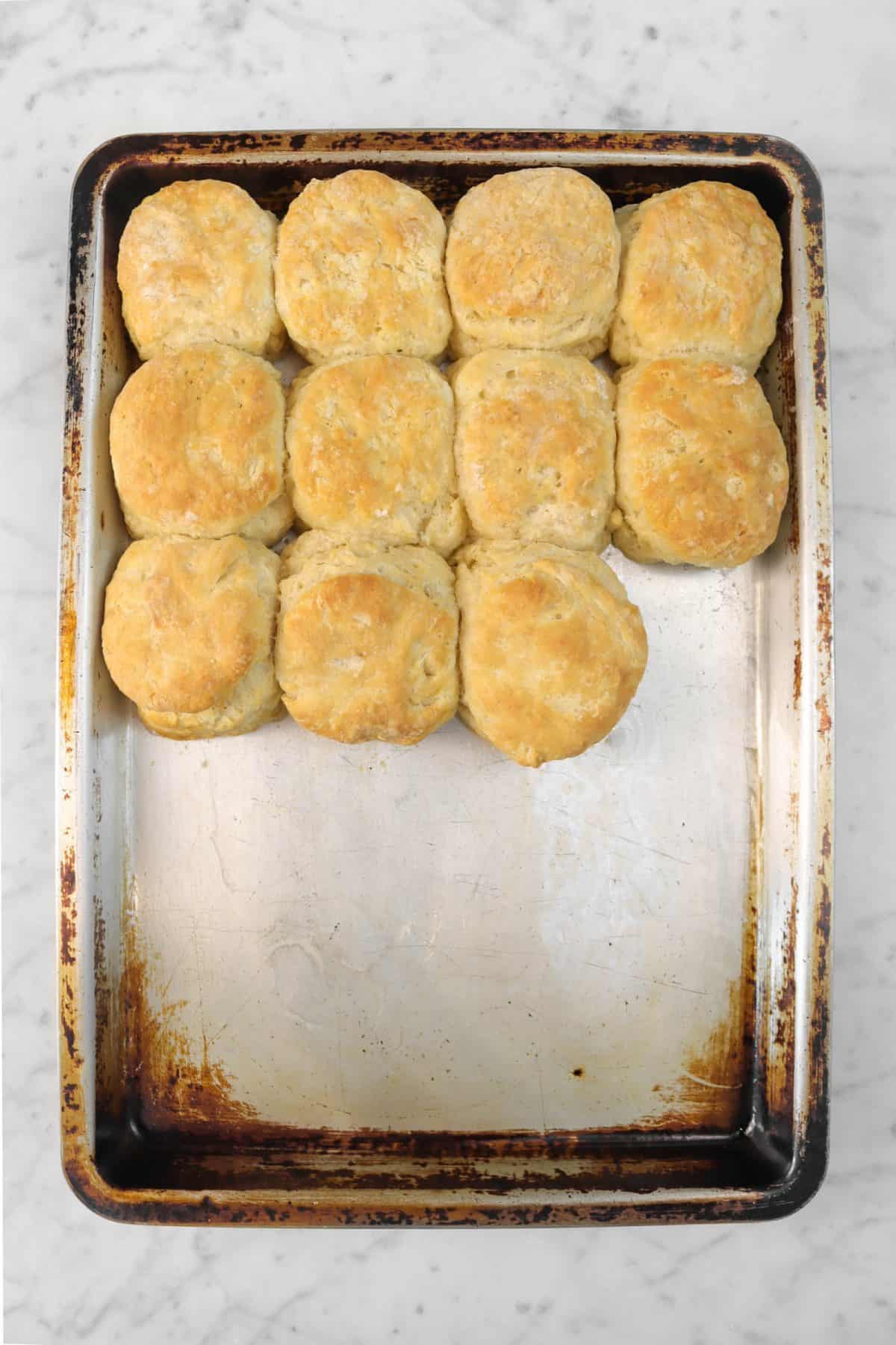 sourdough biscuits baked on a baking sheet