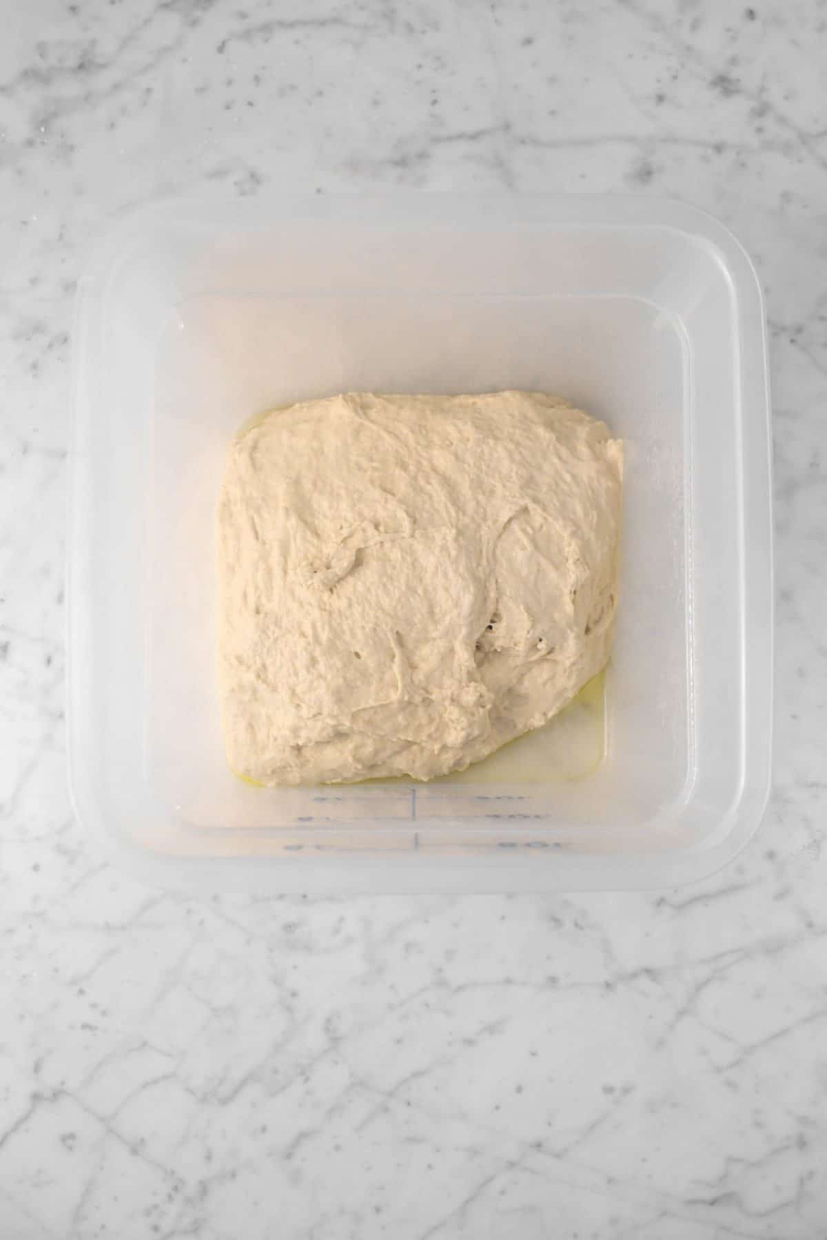dough added to plastic dough rising bucket