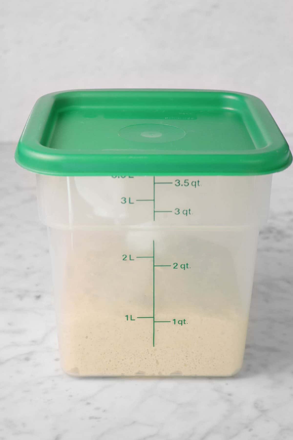 firm starter in a dough rising bucket