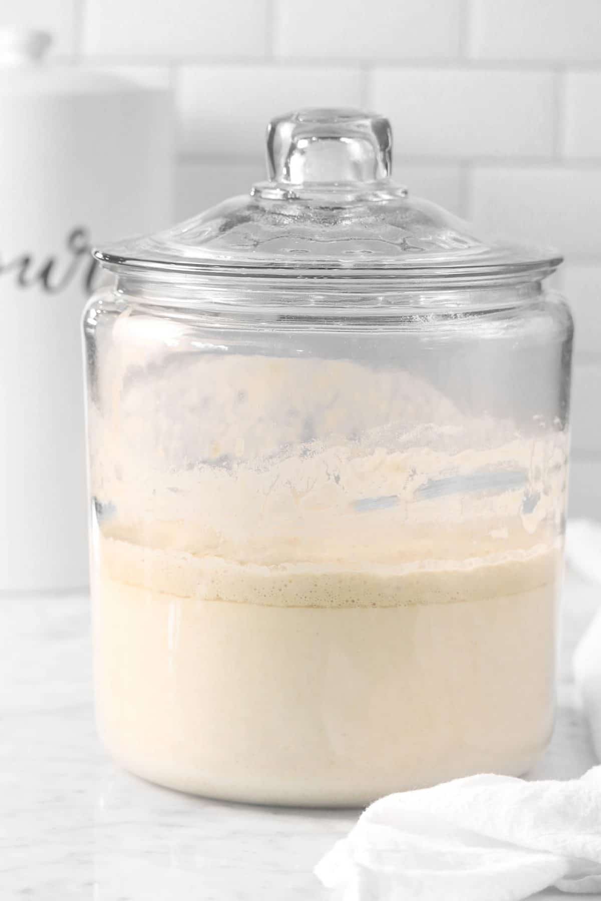 sourdough starter in a glass jar with a white napkin and a container of flour