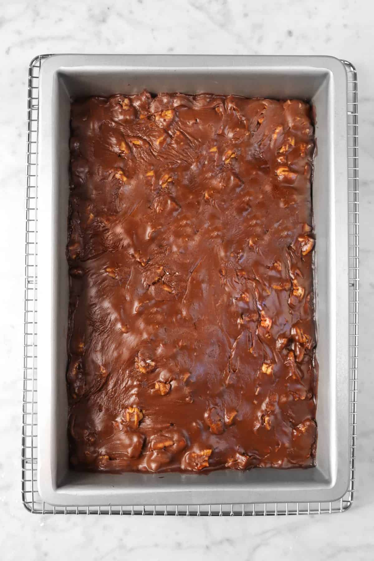 chocolate cake in a rectangular cake pan with chocolate pecan frosting spread across on a wire cooling rack