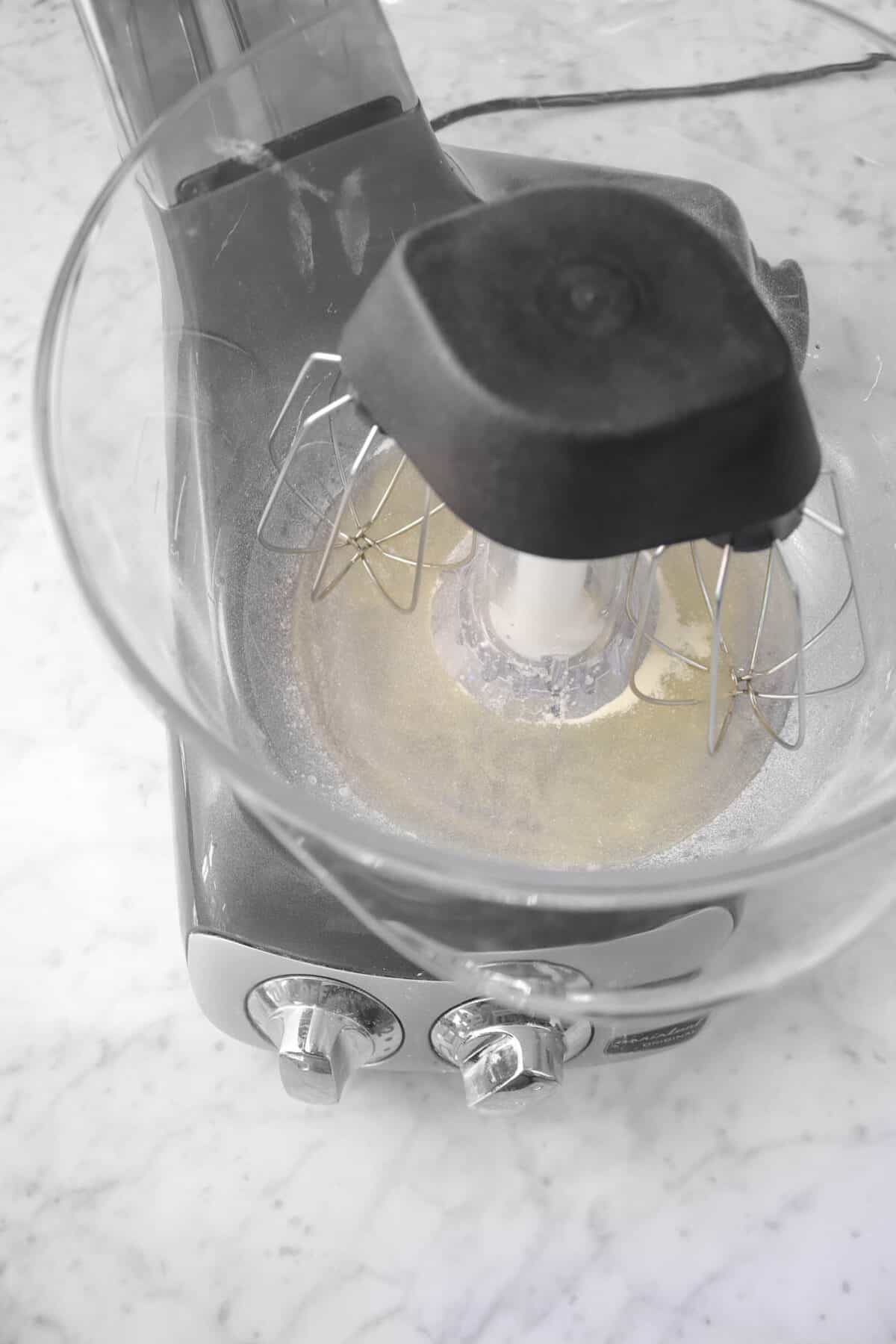 water and gelatin in a mixer