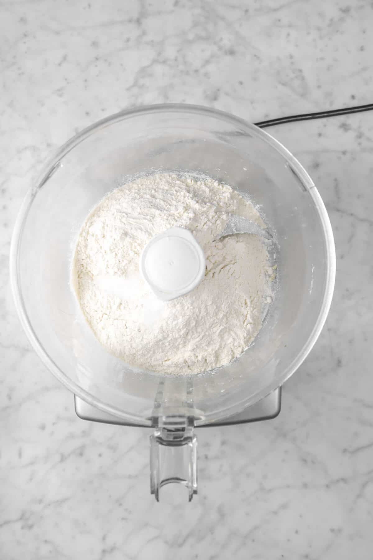 flour and salt in a food processor