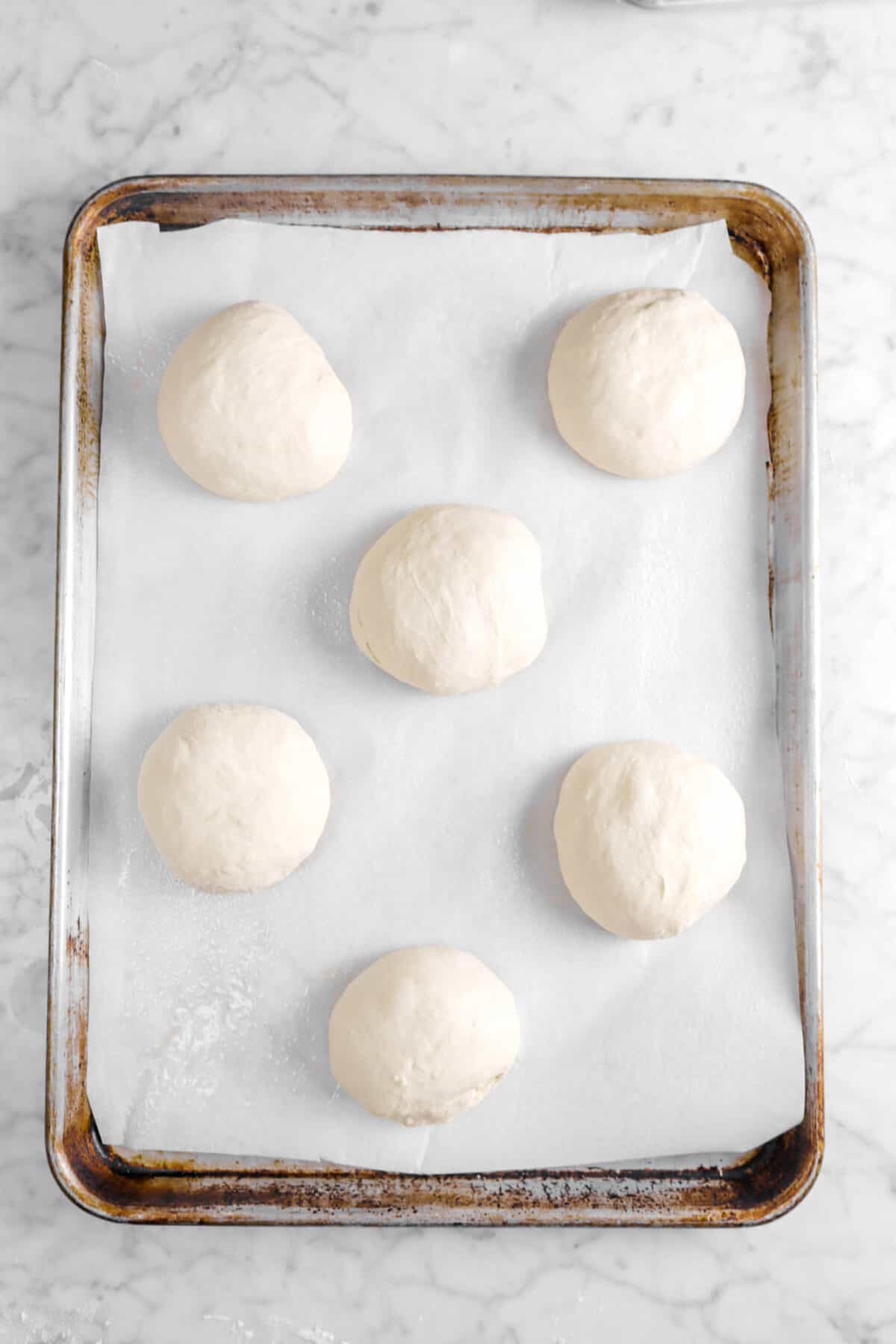 six boules on lined baking sheet