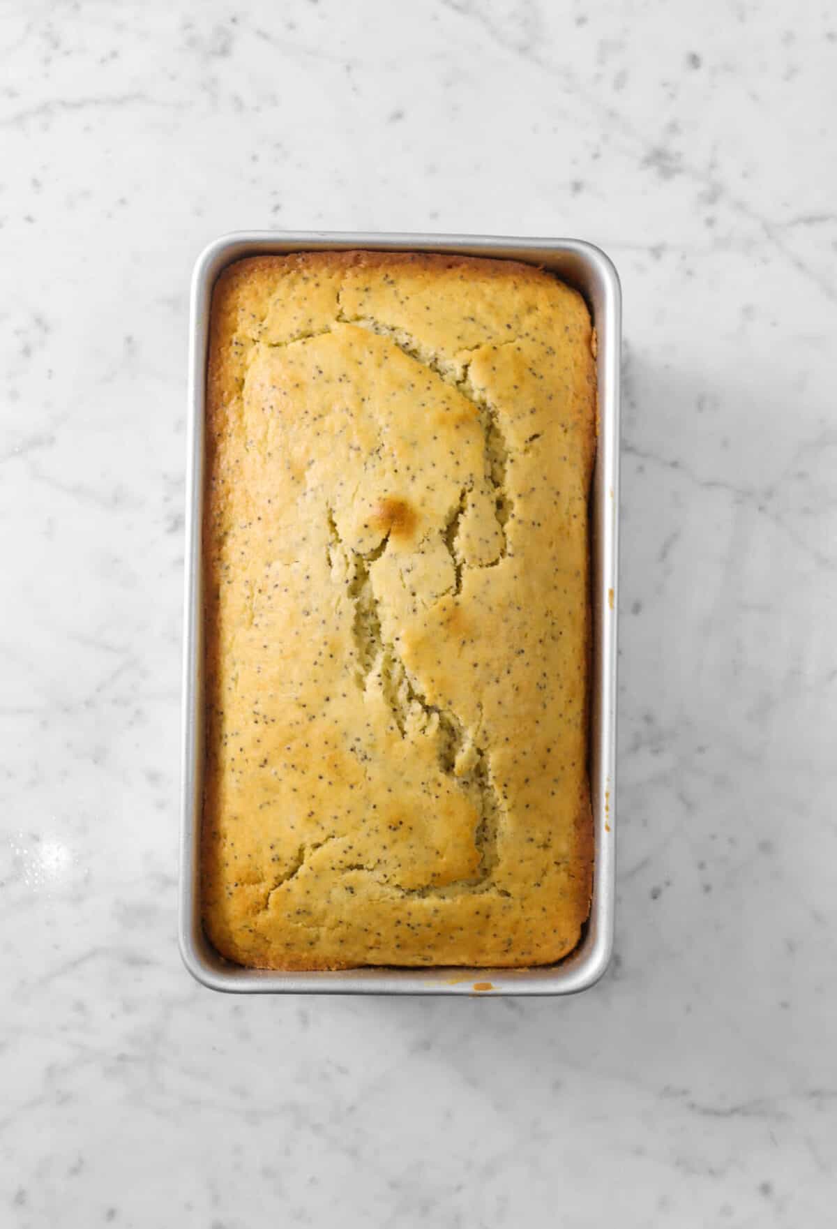 baked lemon poppy seed bread loaf in rectangular pan