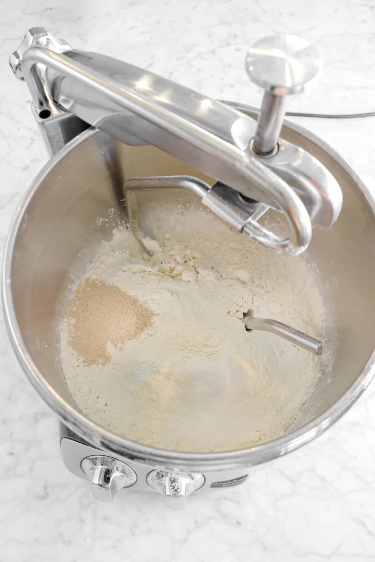 flour, yeast, and salt in mixer