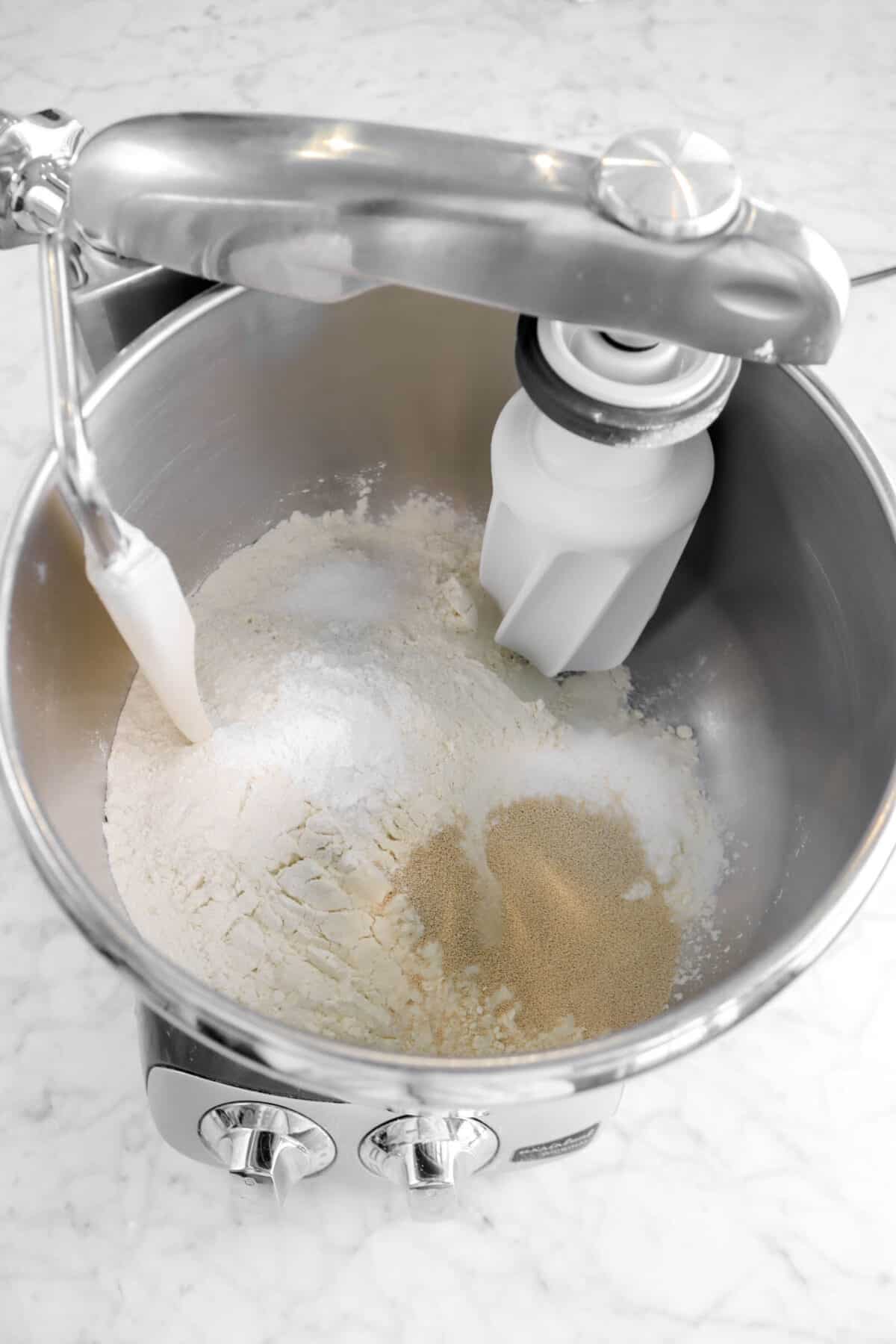 flour, yeast, and salt in mixer bowl