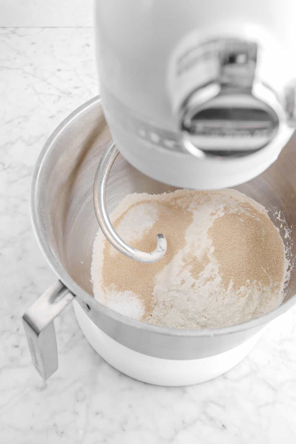 flour, salt, yeast, and sugar in mixer