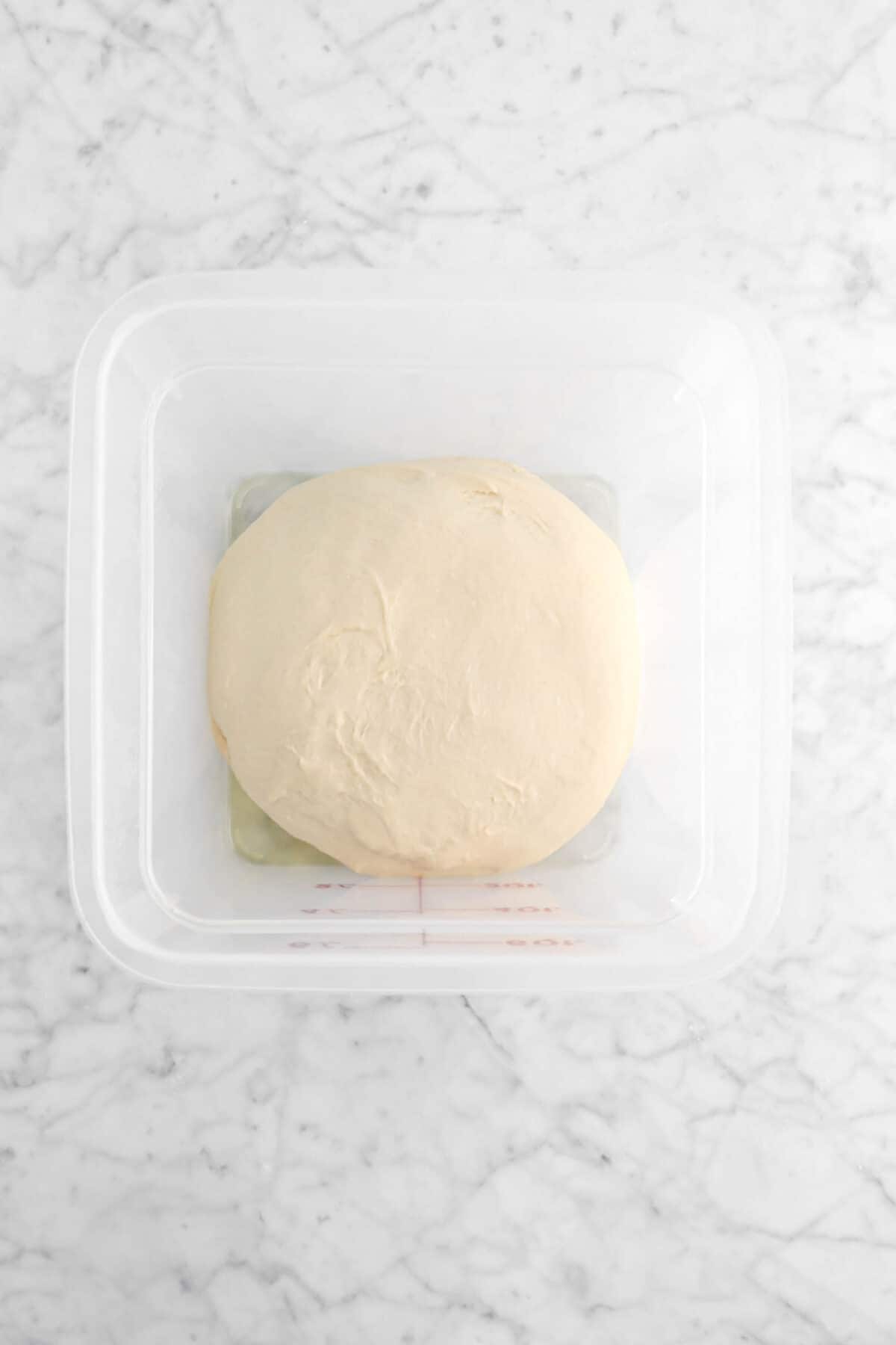 dough in large plastic container