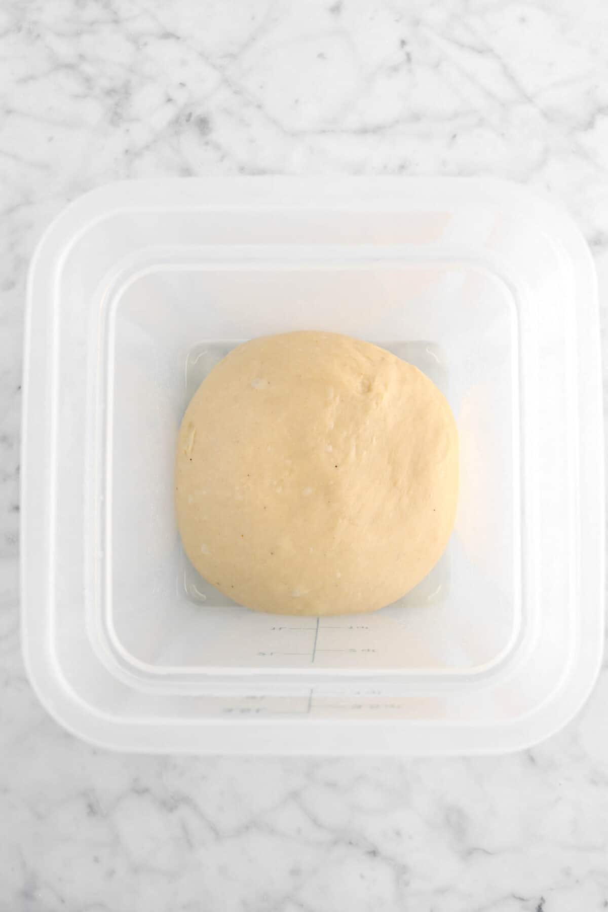 dough in plastic container