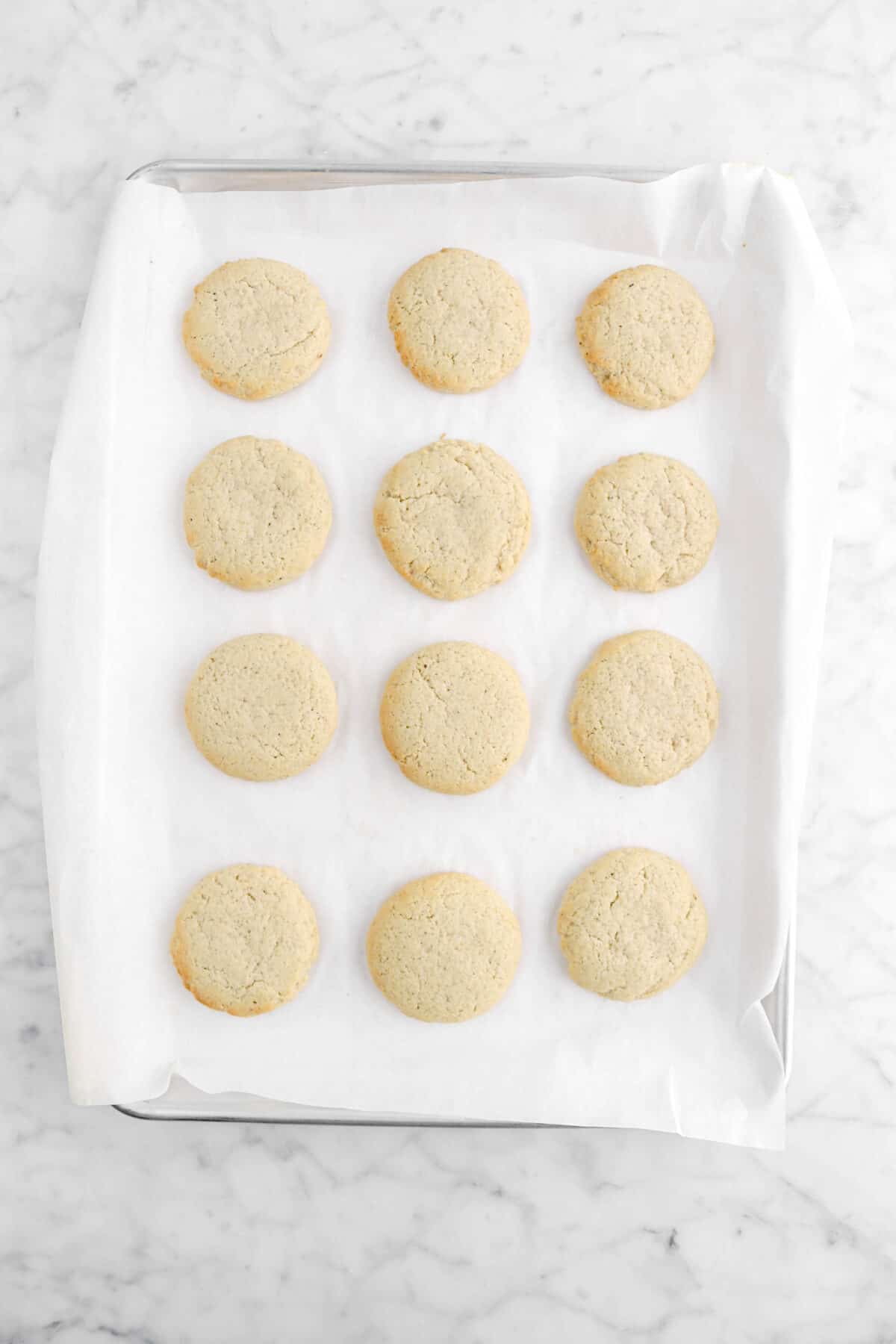 twelve eggnog cookies on lined sheet pan