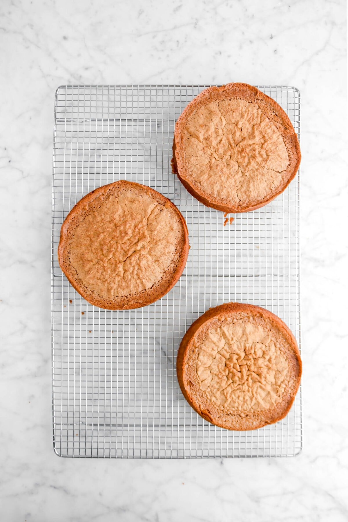 three cake rounds on cooling rack