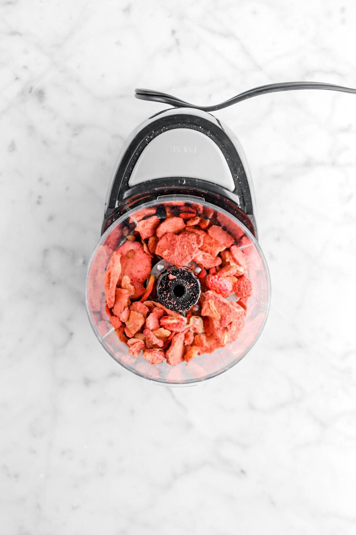 dried strawberries in small food processor
