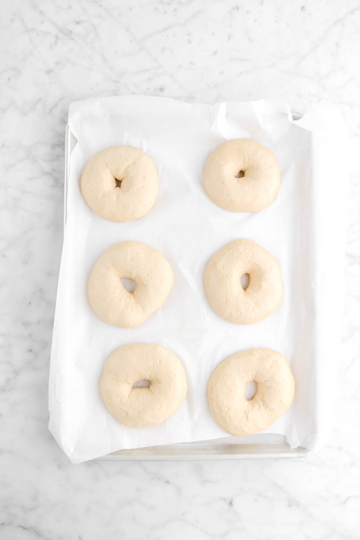 six proved bagels on sheet pan