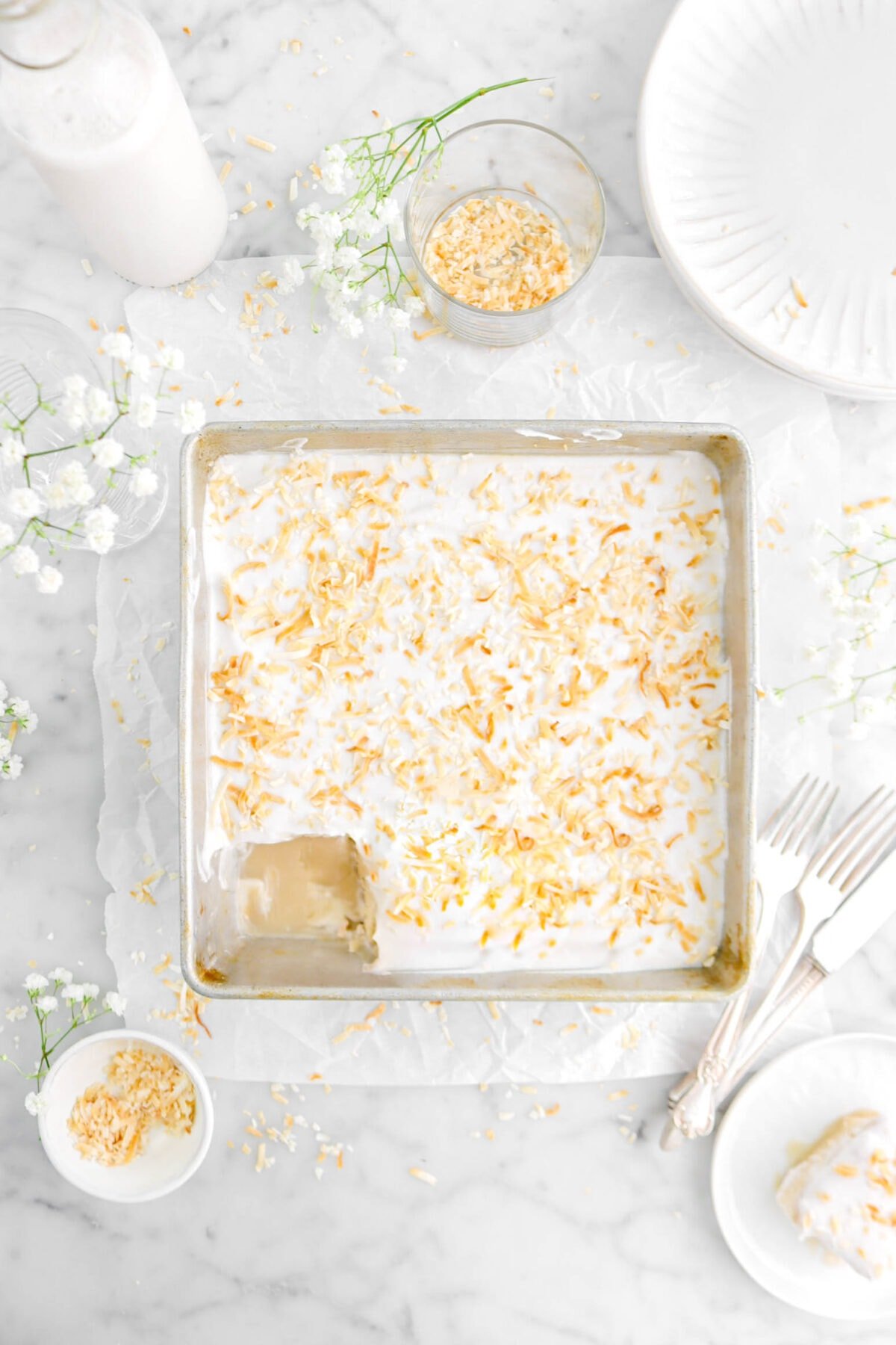 Vegan Coconut Tres Leches Cake with Coconut Whipped Cream