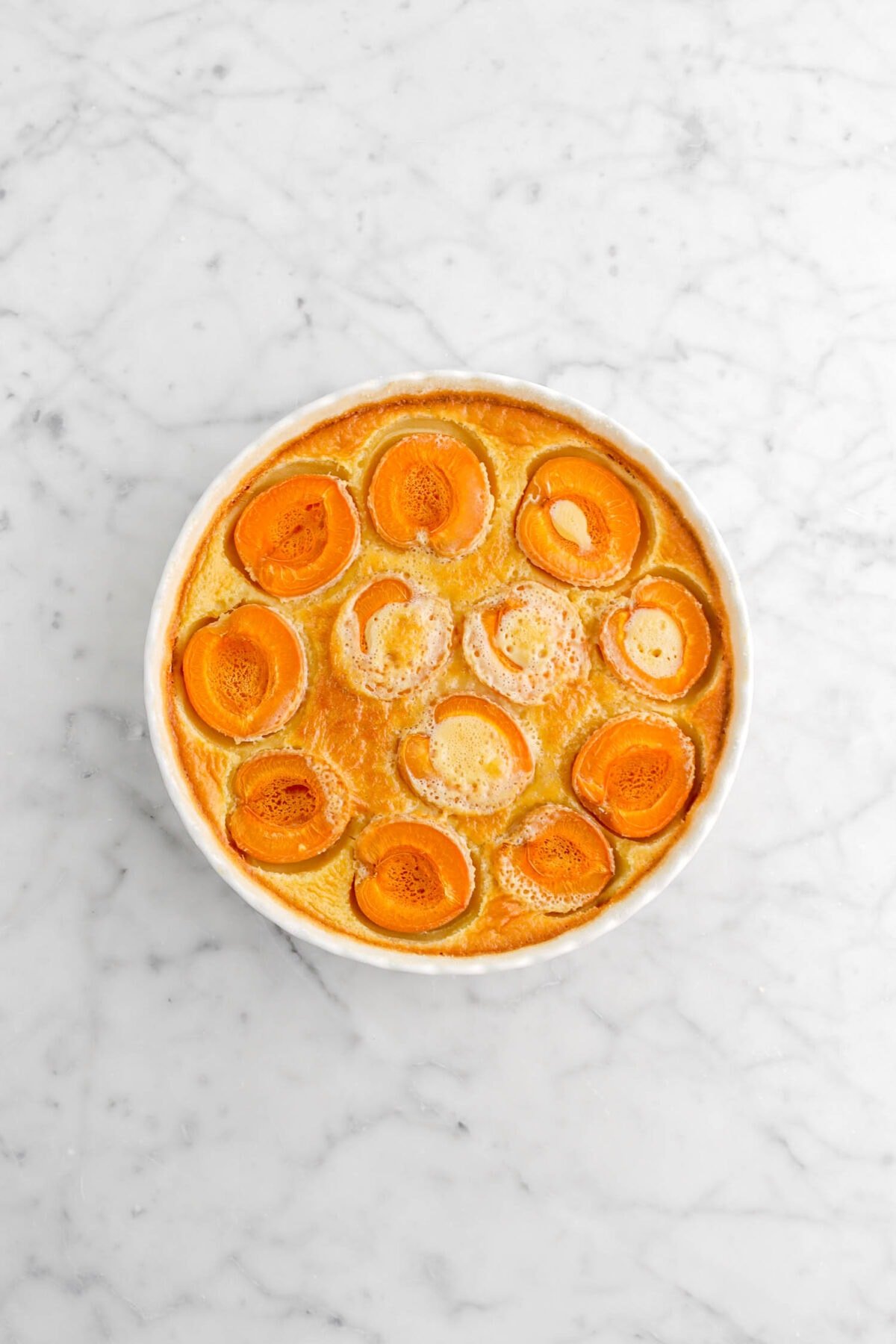 baked apricot clafoutis on marble surface