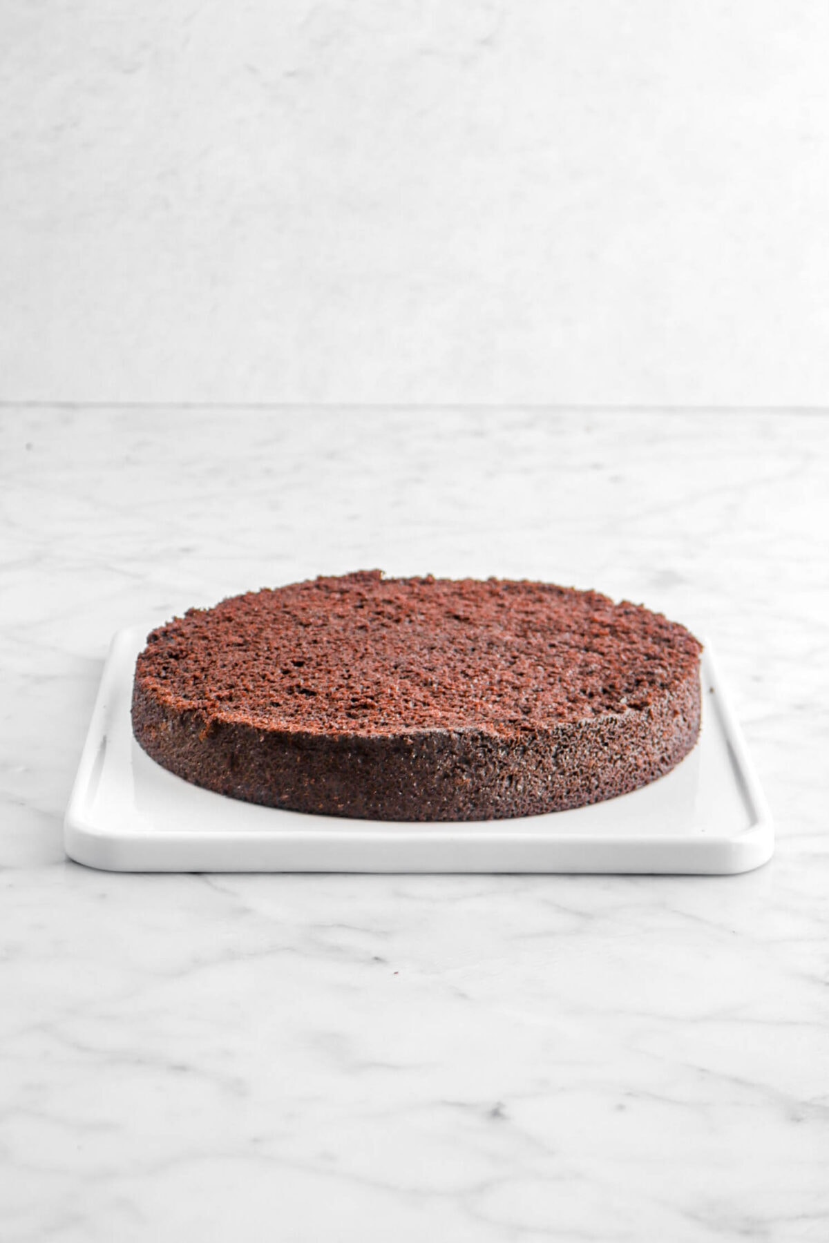 chocolate cake layer on white square tray