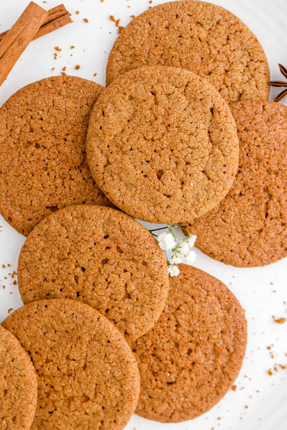 close up overhead shot of gingersnap cookies.