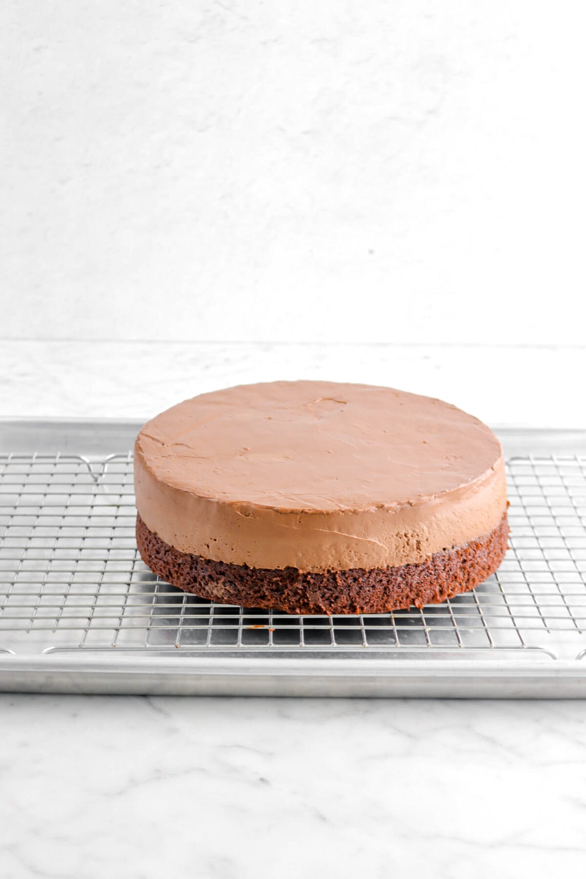 edges of mousse smoothed out on top of cake.