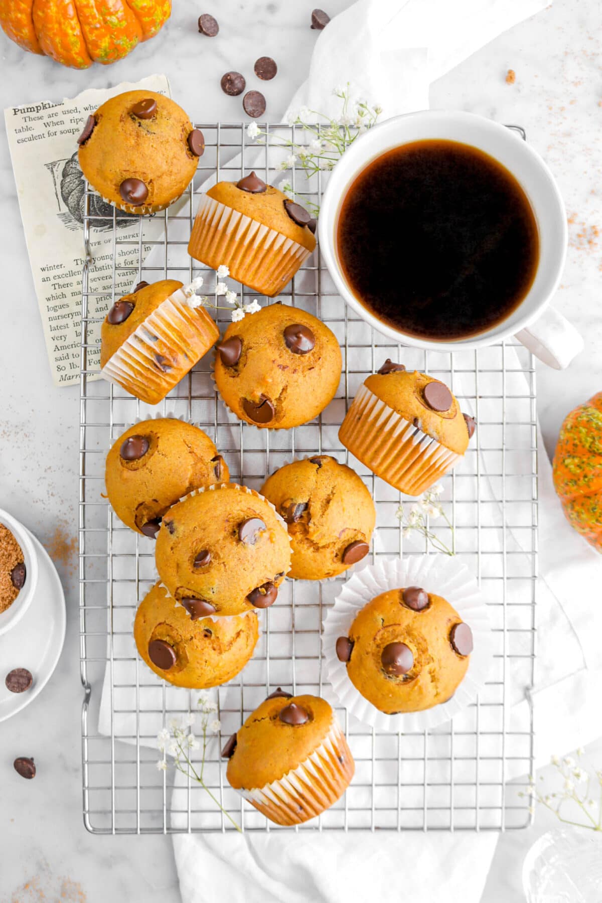 overhead shot of eleven muffins on wire cooling rack with white napkin, cup of coffee, and flowers. Two pumpkins beside, a book page, and chocolate chips around on marble surface.