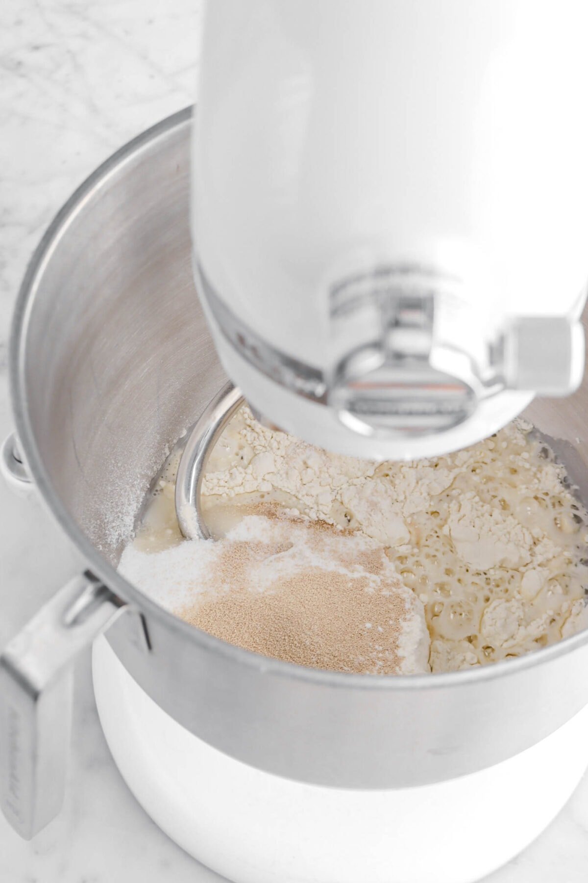 flour, sugar, yeast, and water in stand mixer.