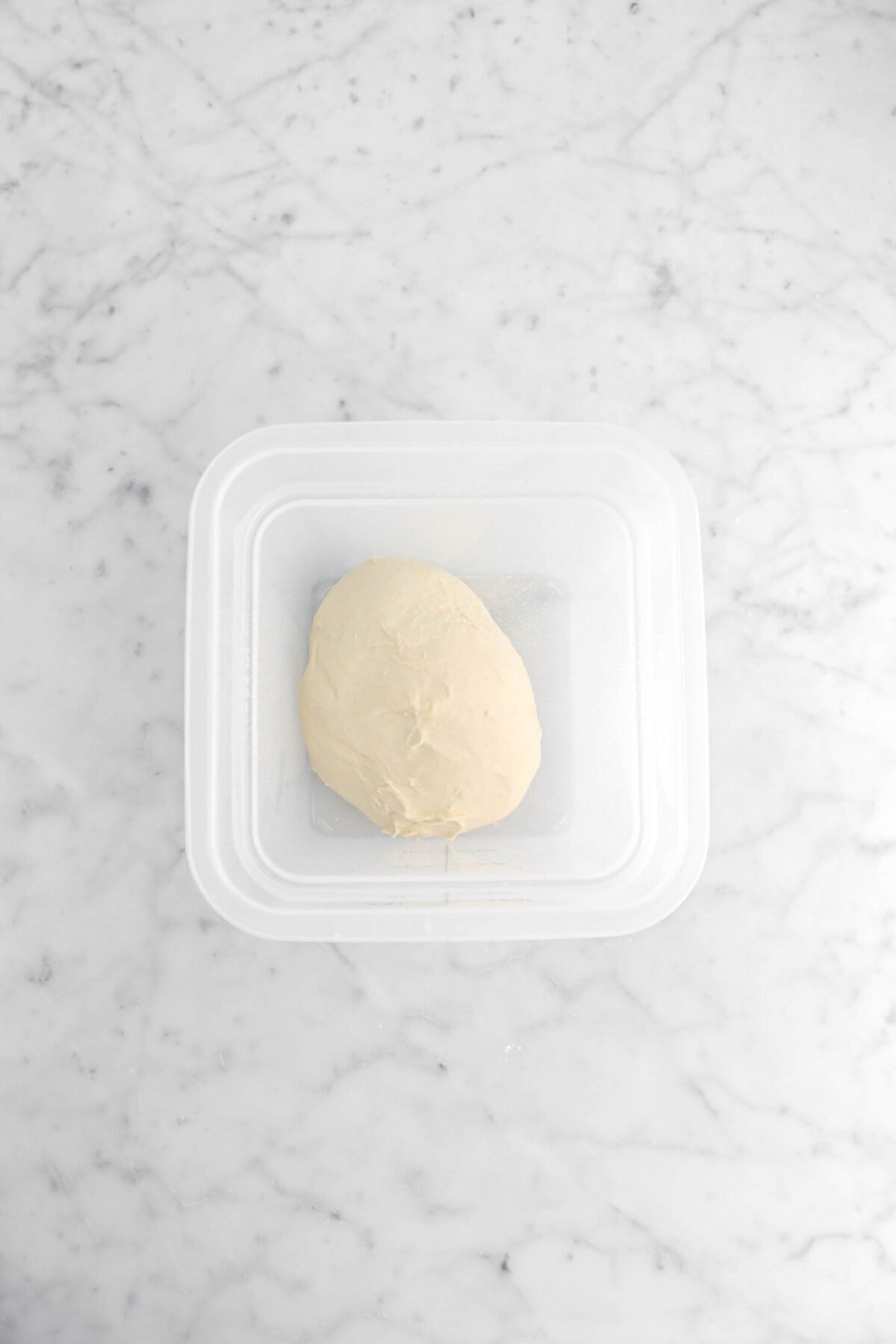 dough in square plastic container.