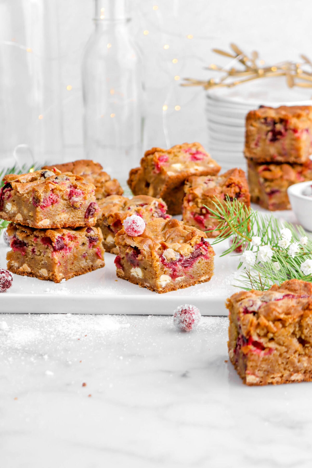 cranberry white chocolate blondies on white tray with pine greenery and sugared cranberries around.