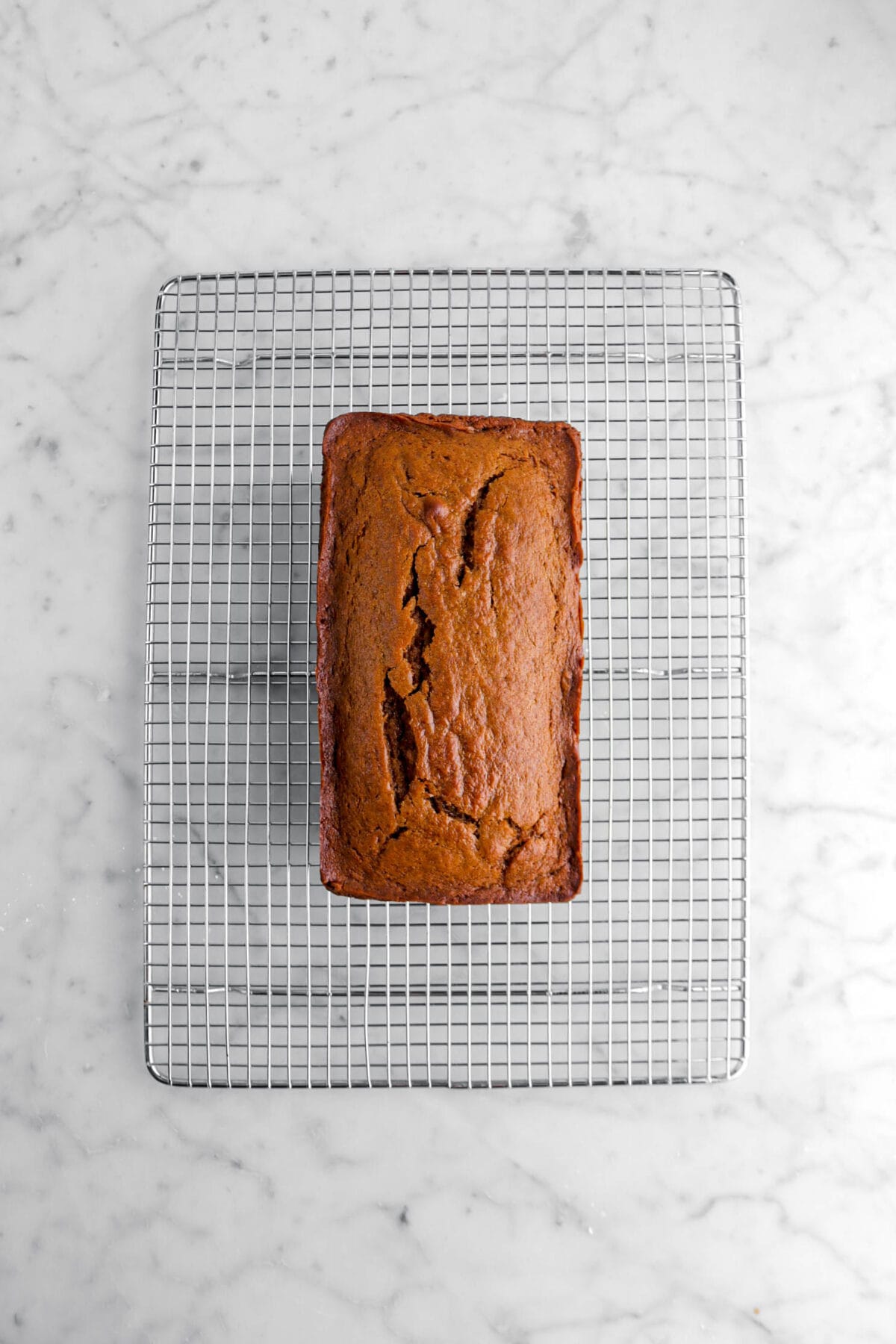 baked gingerbread loaf cake on wire cooling rack.