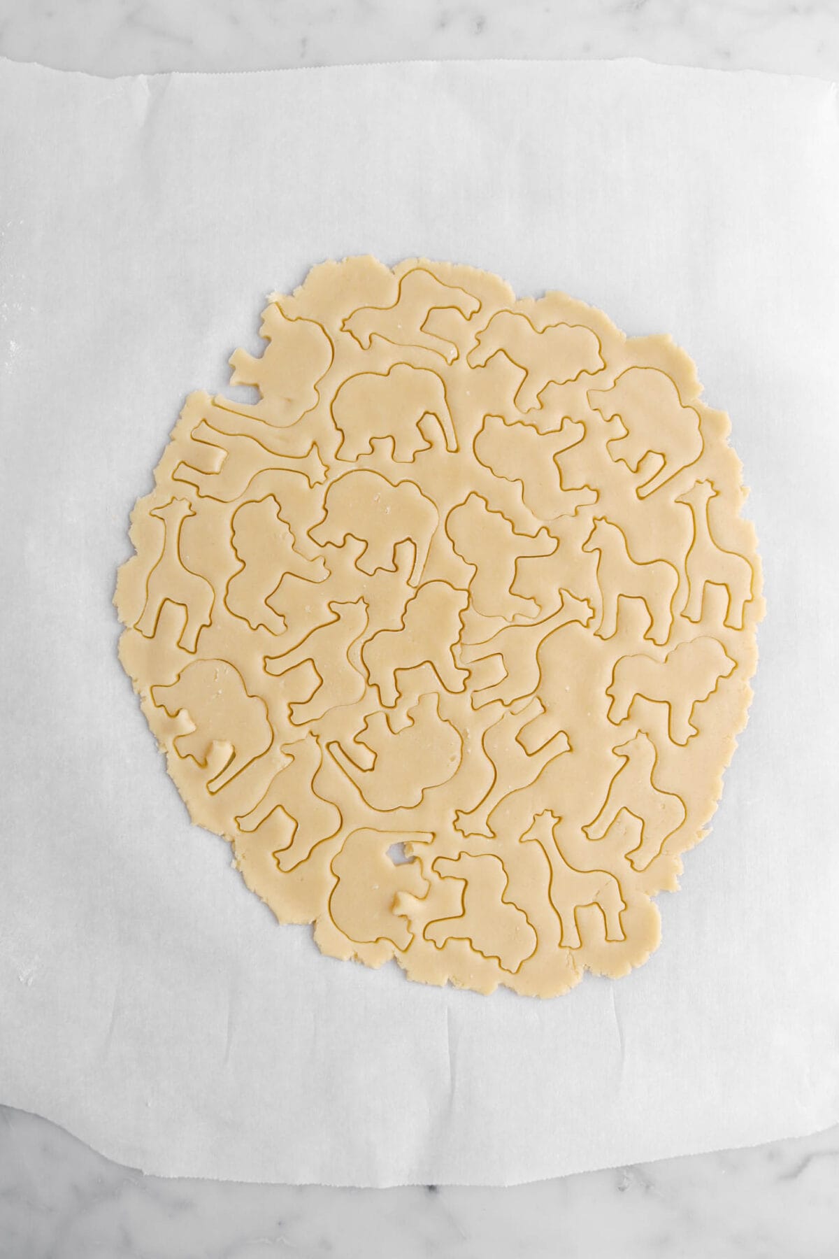 animal shapes cut into cookie dough.
