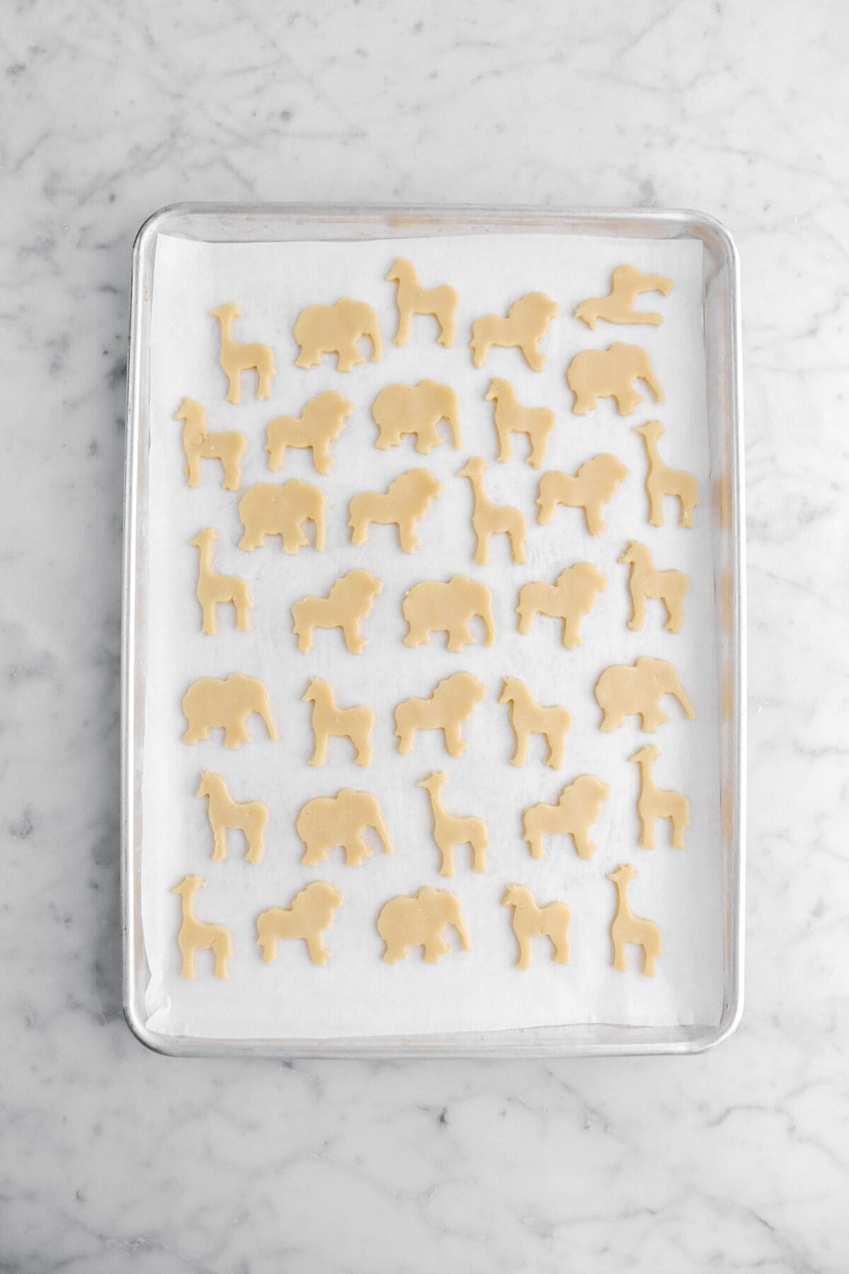 unbaked animal cookies on parchment paper lined sheet pan.