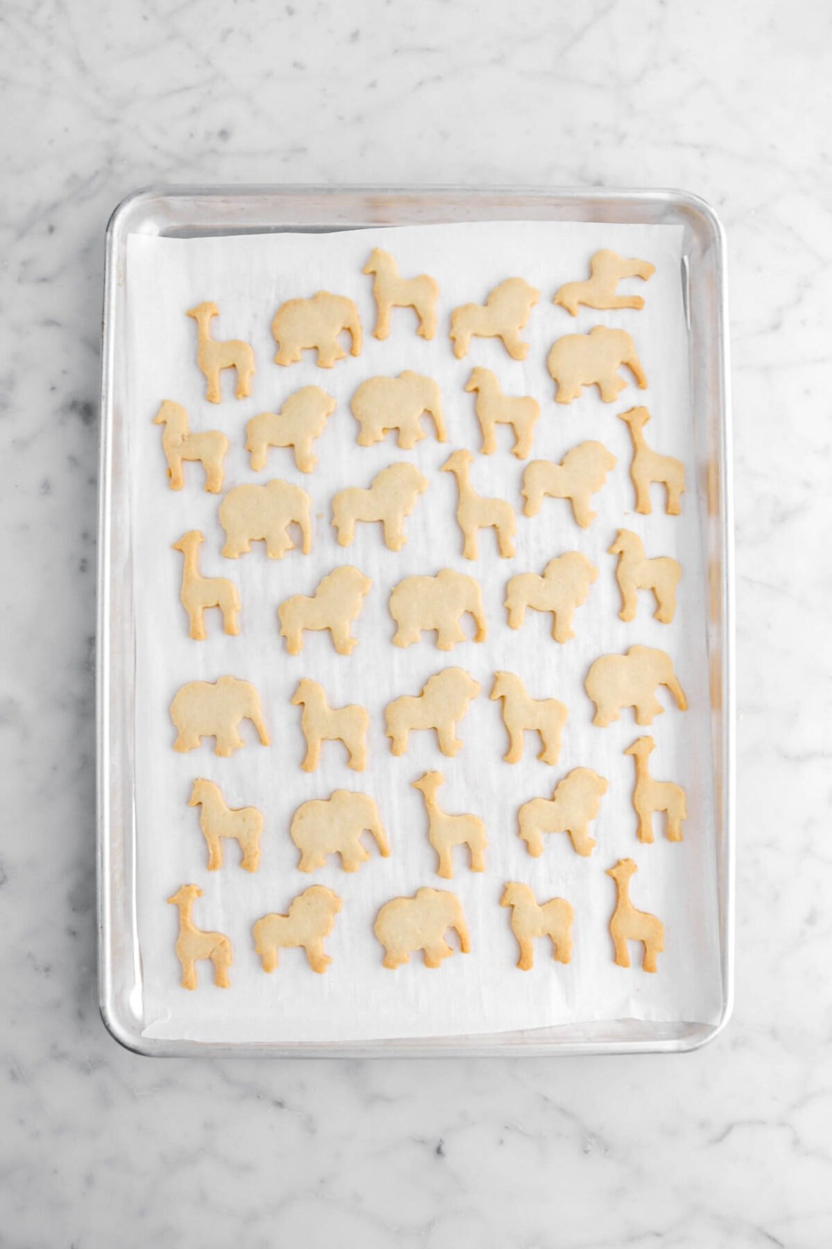 baked animal cookies on parchment lined sheet pan.