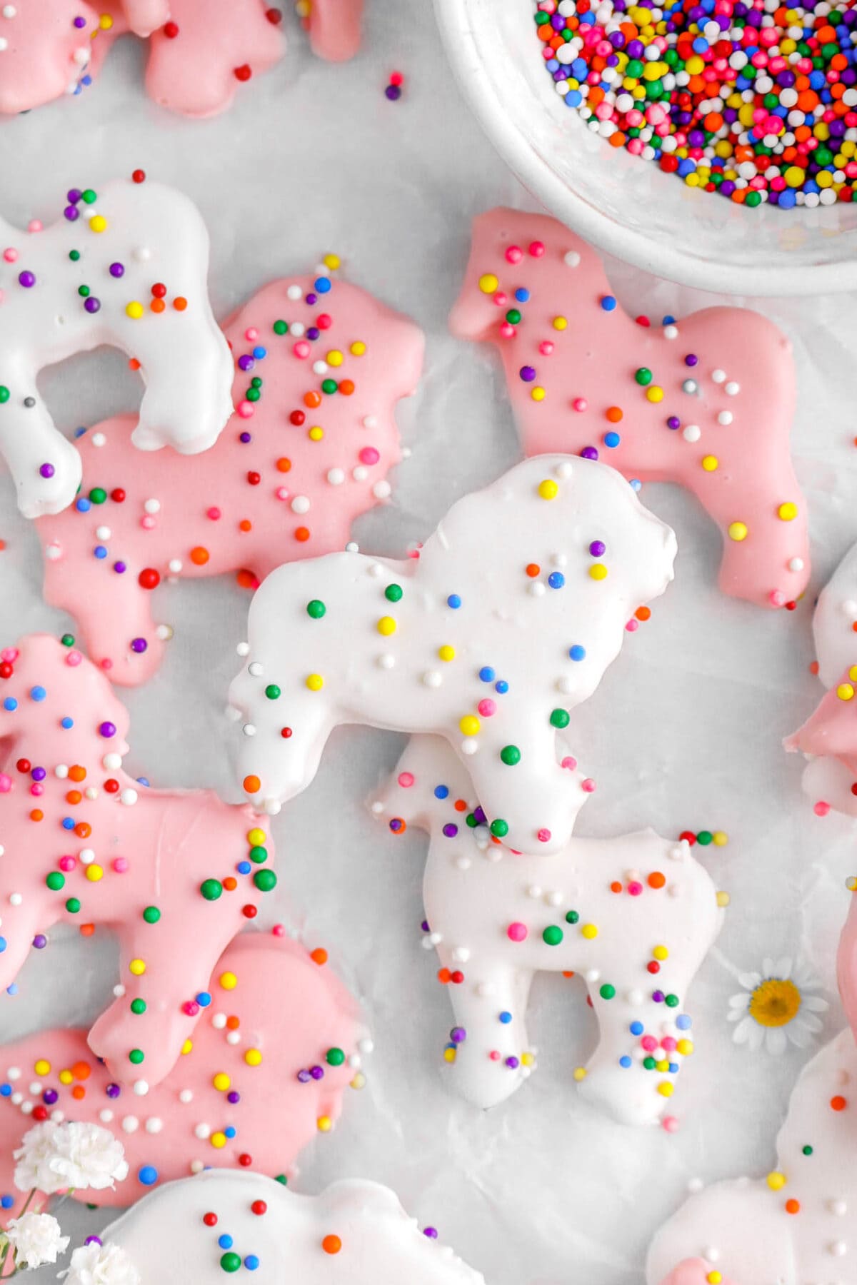 close up overhead shot of frosted animal cracker cookies on parchment paper with bowl of sprinkles.