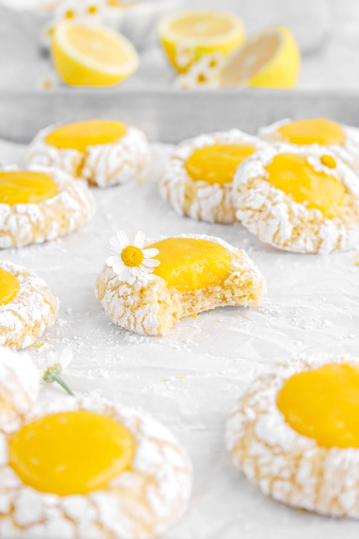 front shot of lemon curd thumbprint cookie with bite missing, with more cookies around on lined sheet pan with lemon halves and more flowers behind.