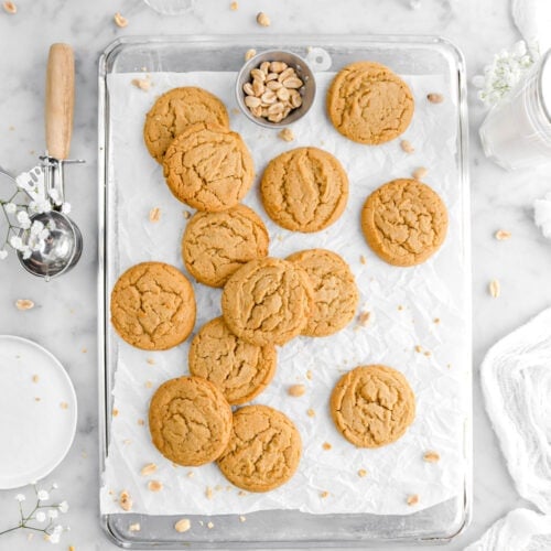 thirteen peanut butter cookies on upside down sheet pan lined with parchment paper, with peanuts and white flowers around.