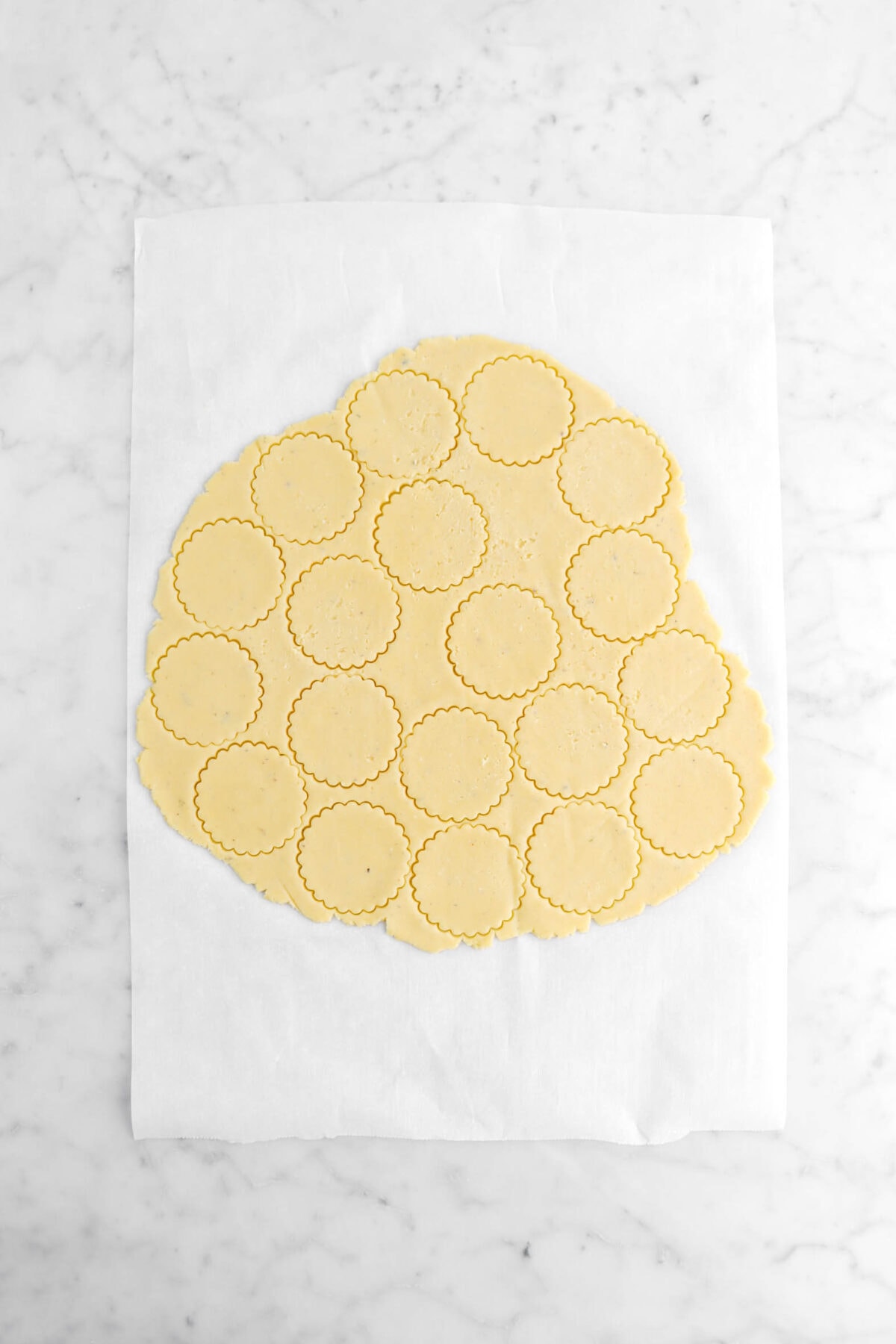 scalloped circles cut into rolled out cookie dough.
