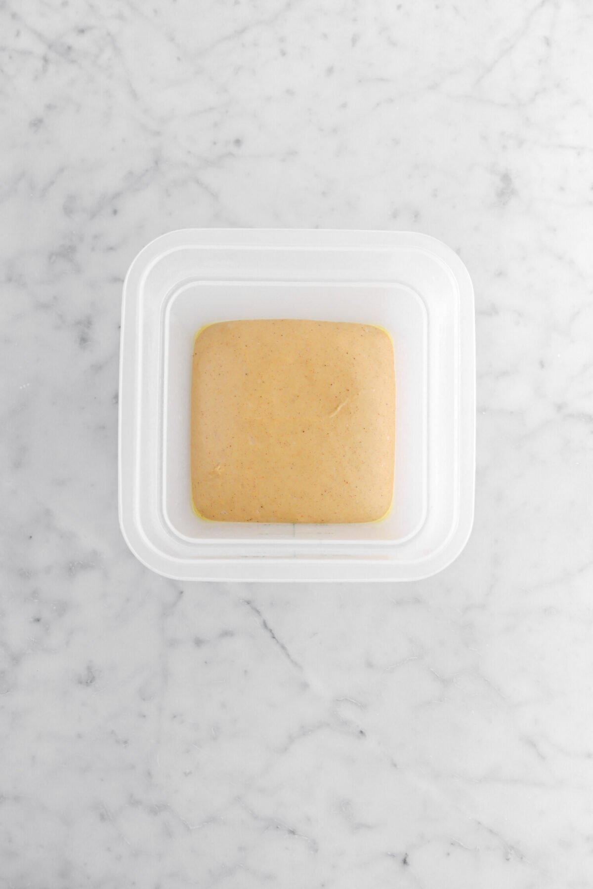 proved dough in square plastic container.