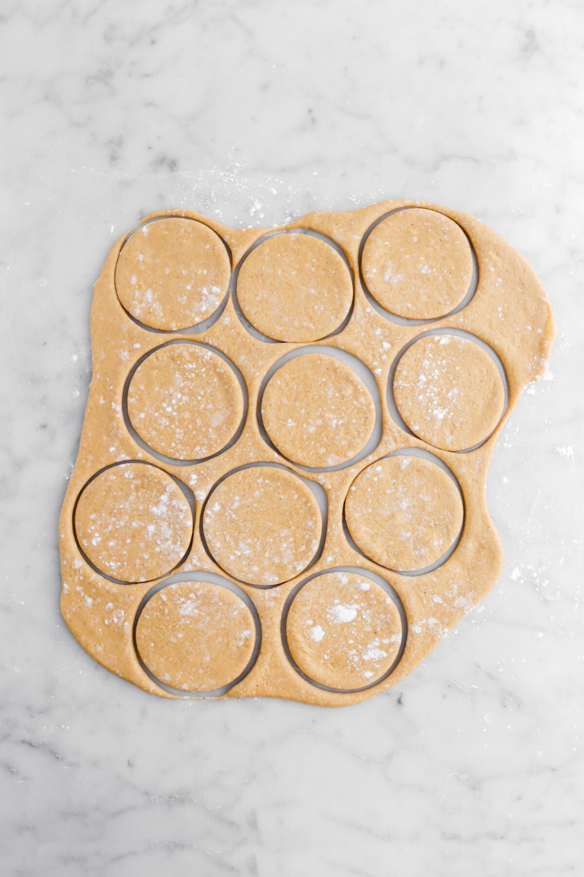 circles cut into dough on marble surface.