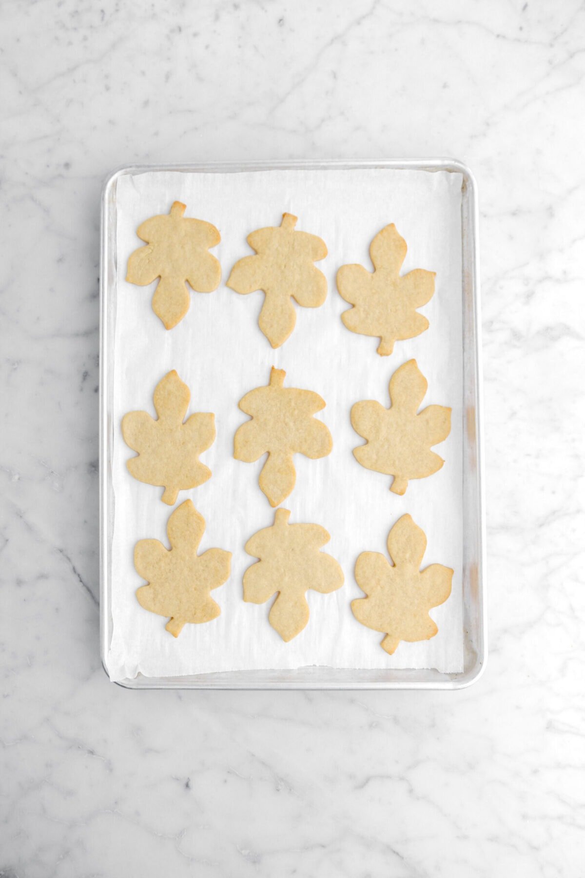 nine baked maple cookies on lined sheet pan.