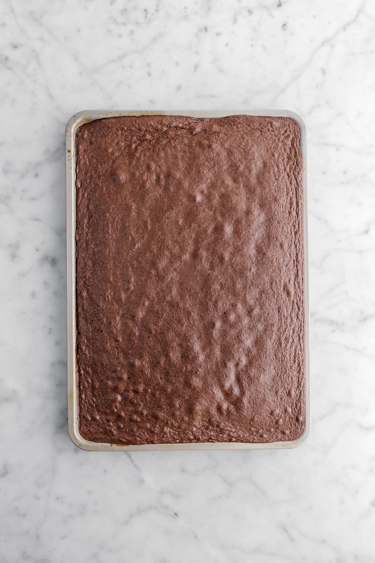 baked chocolate cake in sheet pan.