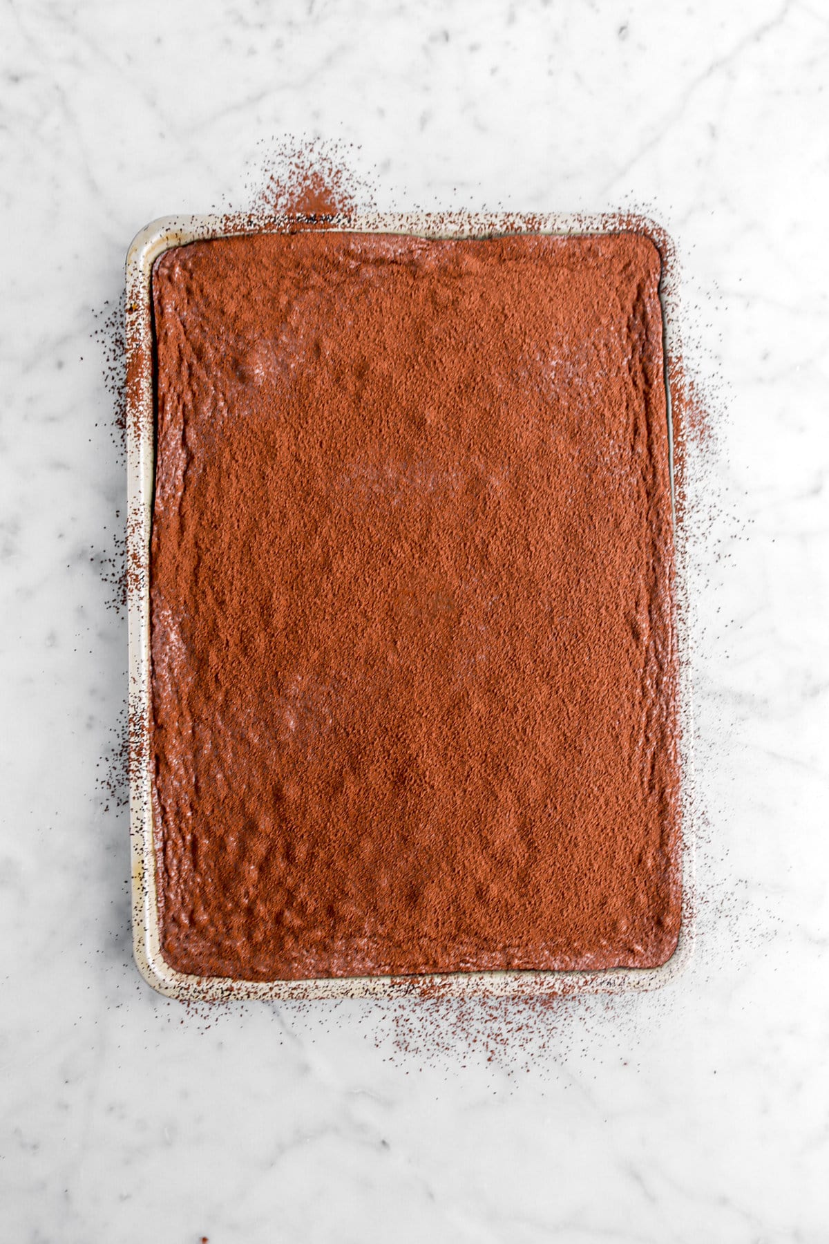 cake dusted with cocoa powder in sheet pan.